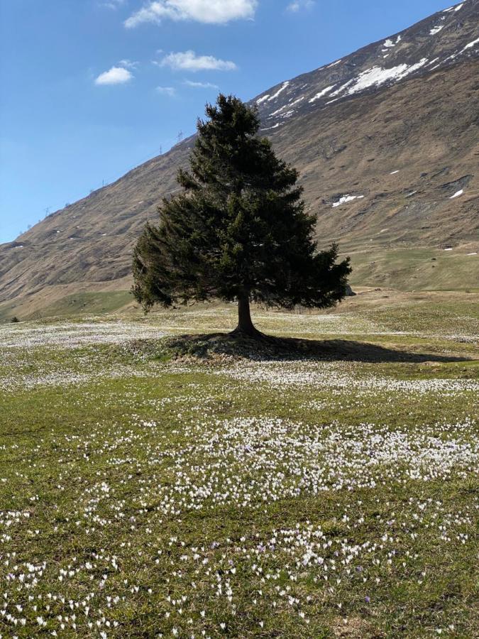 Privatzimmer / bed & breakfast Andermatt Exterior foto